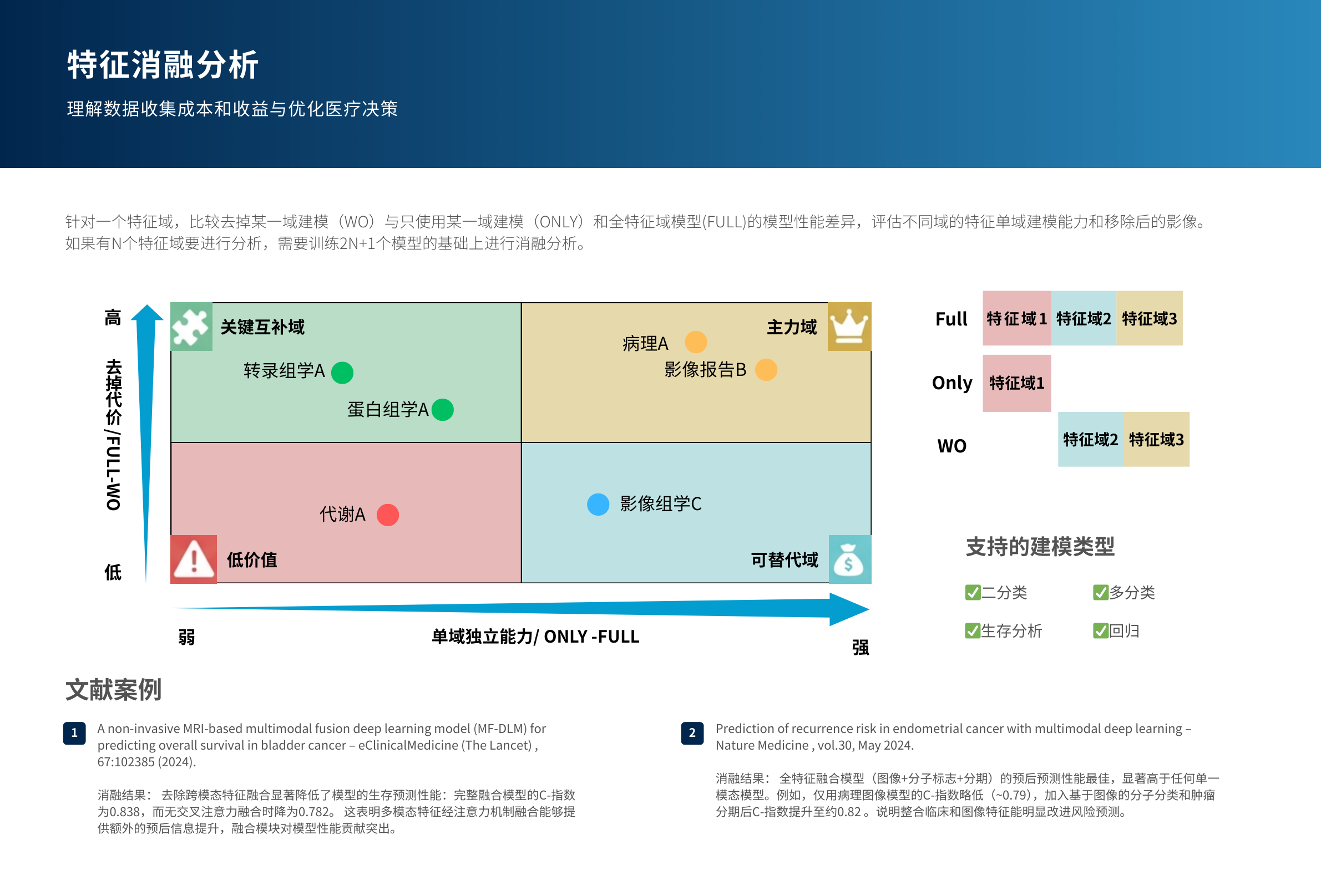 特征消融分析示意图